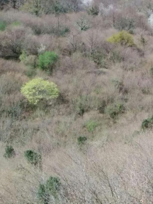فيلا Casa La Parra Villar de Vildas المظهر الخارجي الصورة